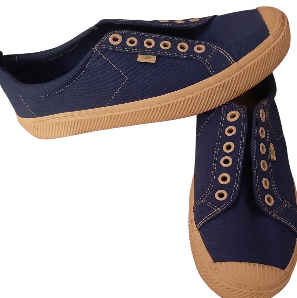 Blue Canvas Men's Sneakers